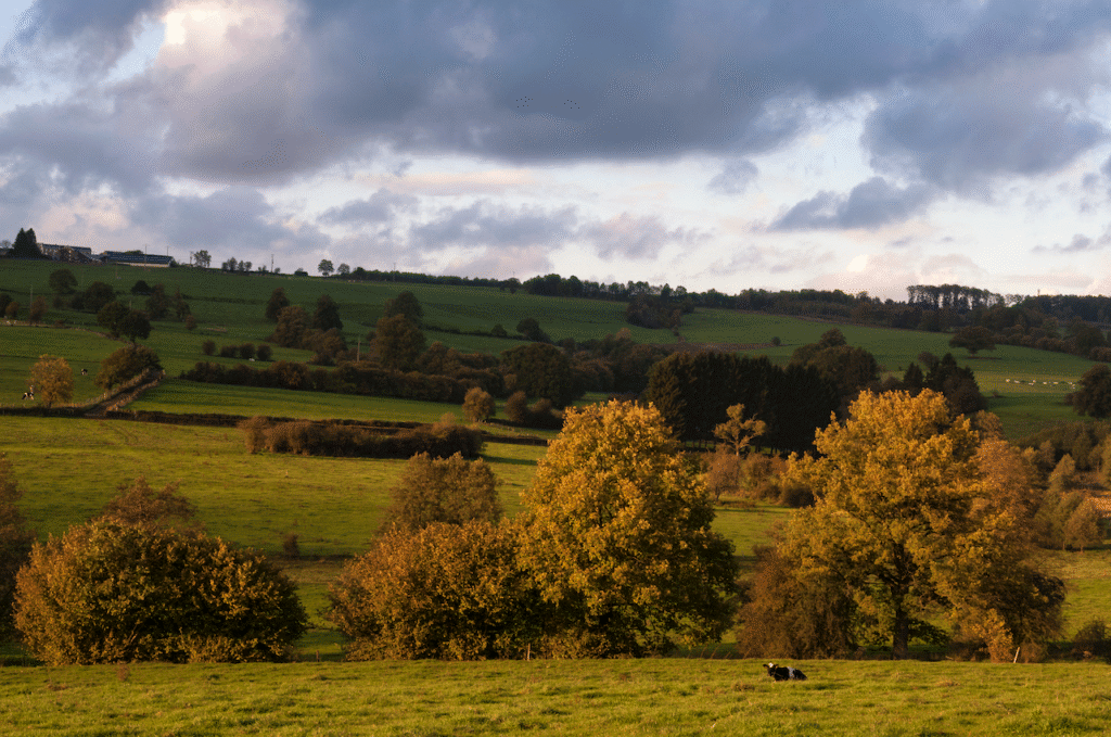 Cotswolds en diciembre, paisaje